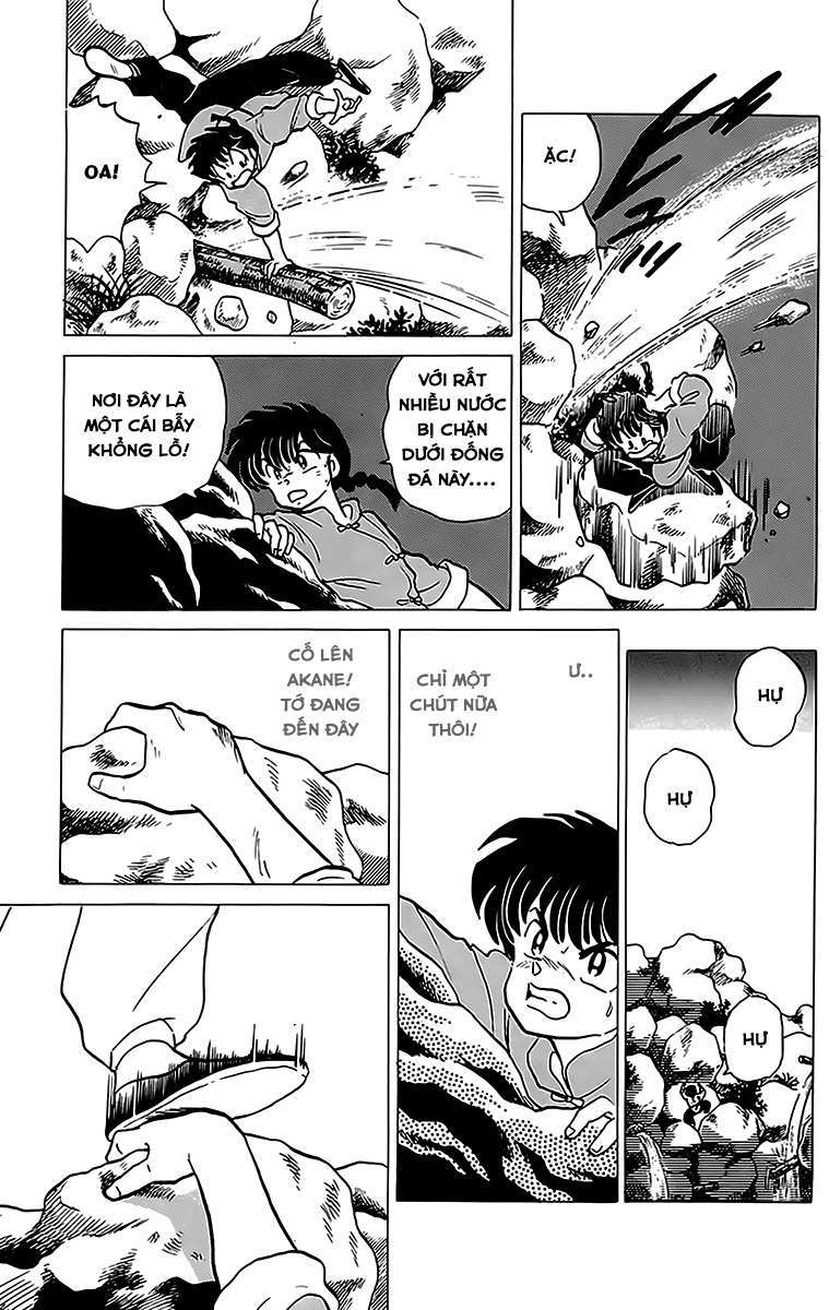 https://cdn.nettruyenca.com/105/105638/oxopandas-ranma-chap-184-ranma-18-081-p2j.jpg