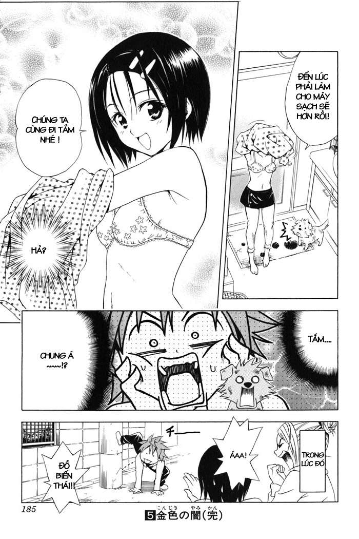 https://cdn.nettruyenca.com/12/12118/vnsharing-to-love-ru-chap43-tolove-05-185.jpg