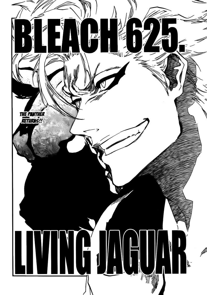 https://cdn.nettruyenca.com/150/150231/bleach-truyentranhtuan-com-chap-625-trang-003.jpg