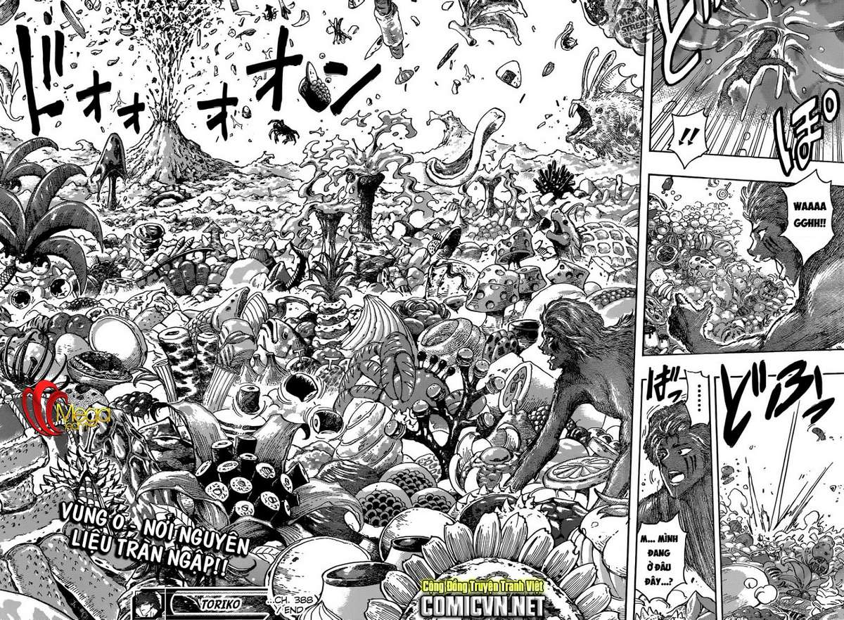 https://cdn.nettruyenca.com/224/224252/toriko-chapter-388-p-17.jpg