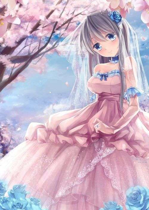 https://cdn.nettruyenca.com/233/233414/anime-wedding-dress-up-8.jpg