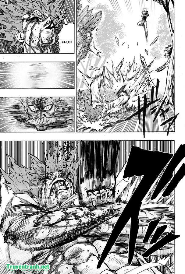 https://cdn.nettruyenca.com/282/282978/1512734597-onepunch-man-truyentranh-chapter-125-013-p2j.jpg