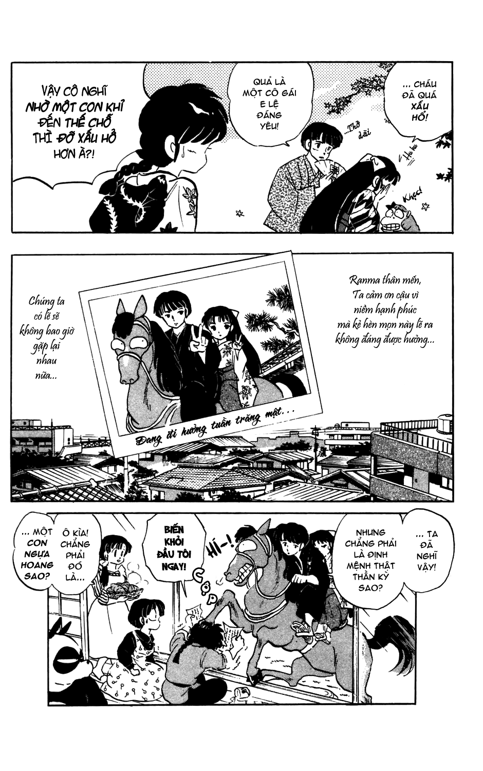 https://cdn.nettruyenca.com/58/58167/fto-rm-58-ranma-6-180.png