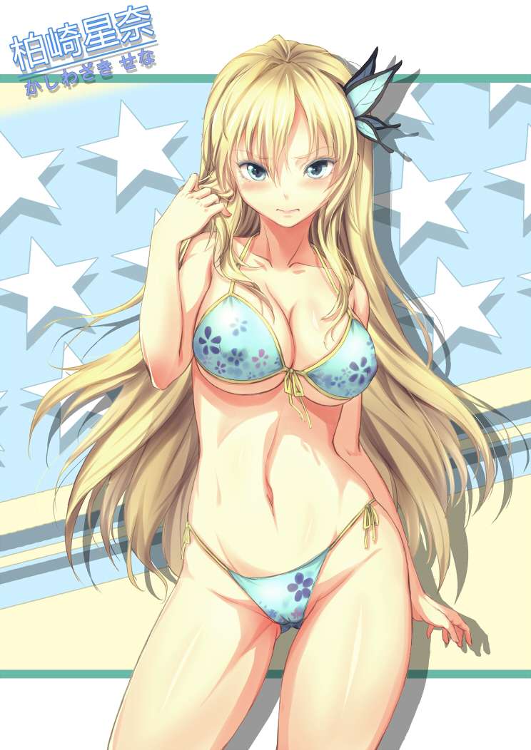 https://cdn.nettruyenca.com/84/84061/bt3843-kashiwazaki-sena-by-mattbourne-d5x5hji.jpg