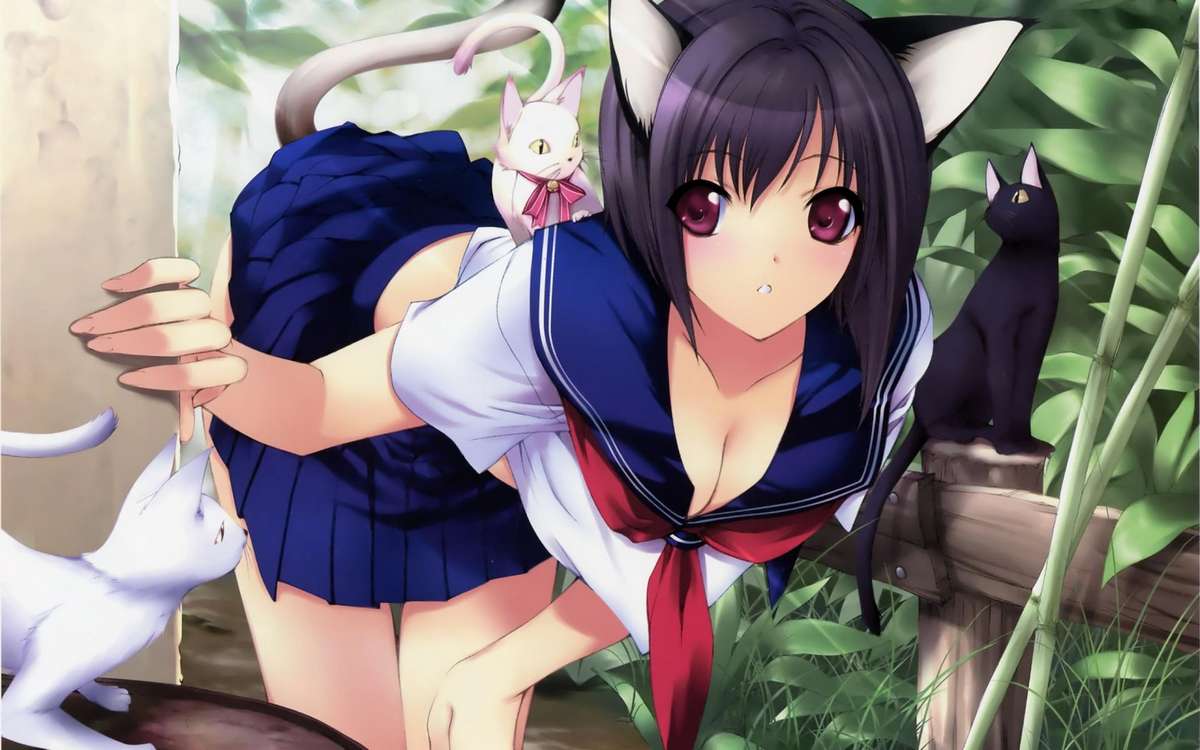 https://cdn.nettruyenca.com/85/85782/bt3501-cat-anime-girl-hd-wallpaper.jpg