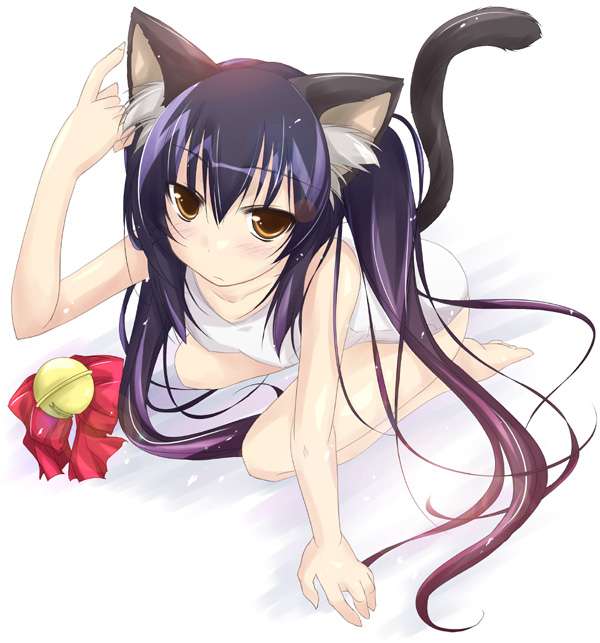 https://cdn.nettruyenca.com/85/85782/bt3609-cat-girl.jpg