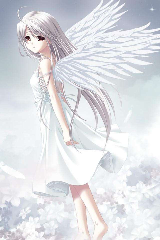 https://cdn.nettruyenca.com/85/85824/bt1727-white-angel-girl-anime-960x640.jpg