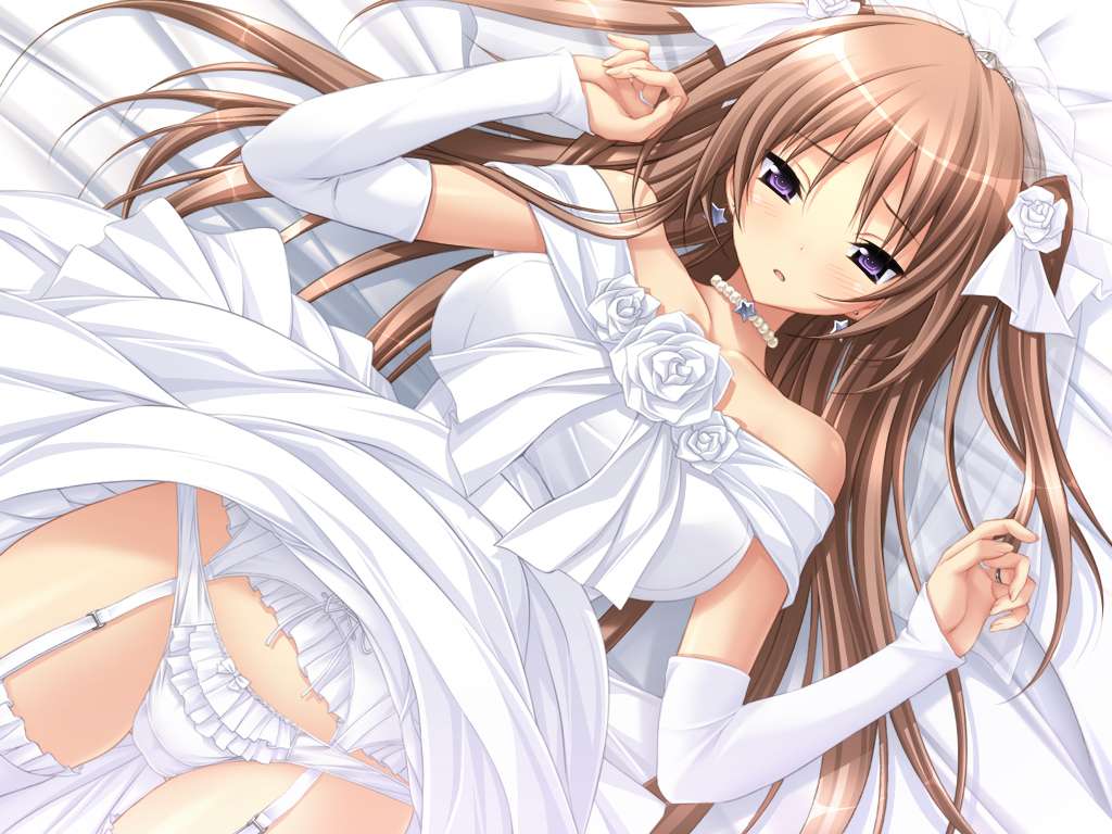 https://cdn.nettruyenca.com/95/95407/bt0719-konachancom-114176anna-252528mirai-nostalgia-252529bedblushbrown-hairgame-cggarter-beltkokumirai-nostalgiapantiespurple-eyespurple-softwareunderwearwedding-dress.jpg